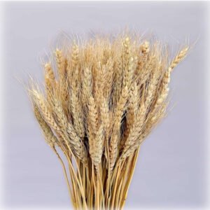 Wheat Decor (MH 36)