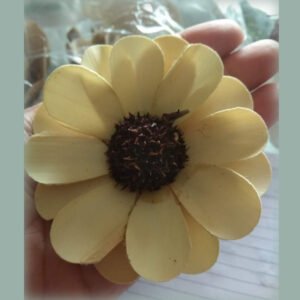 Sunflower(MH 38