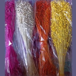 Coloured Moti Stick (MH 44)