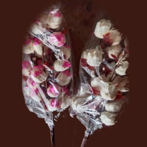 Pink white Tulip (MH 66)
