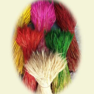 Coloured Wheat (MH 40)