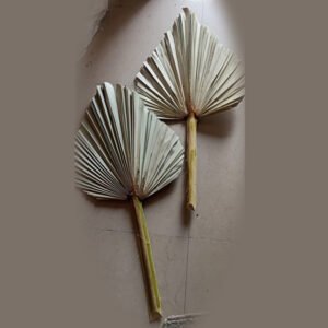 Palm Decor (MH 18)