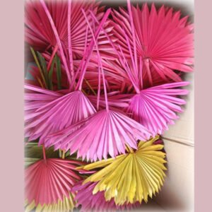 Coloured Palm (MH 21)