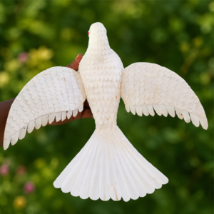 Sola Pigeon Fly (MH 112 )
