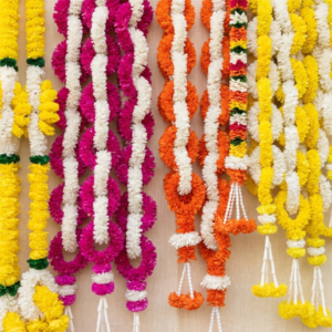 Wall Hanging (MH 95 )